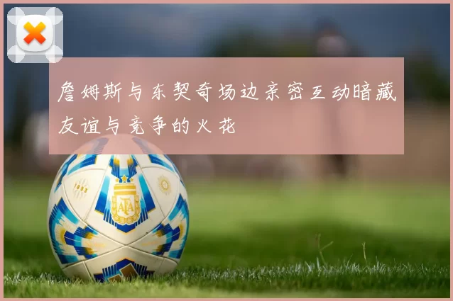 詹姆斯与东契奇场边亲密互动暗藏友谊与竞争的火花