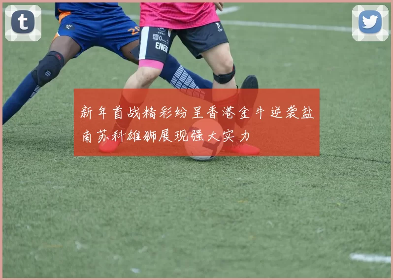 新年首战精彩纷呈香港金牛逆袭盐南苏科雄狮展现强大实力